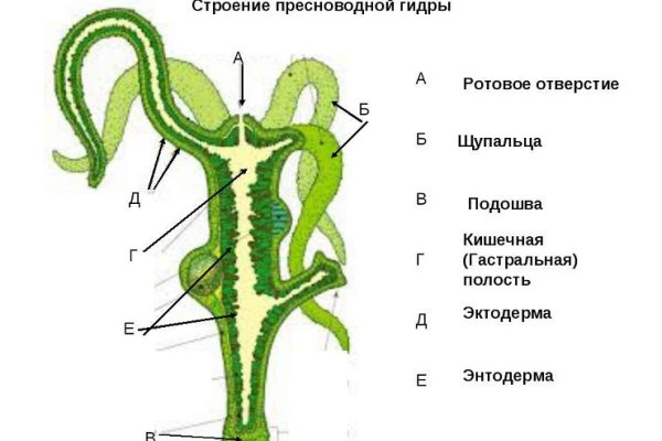 Кракен клирнет