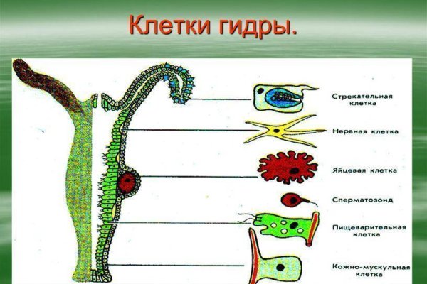 Кракен маркетплейс официальный сайт сайт ссылка