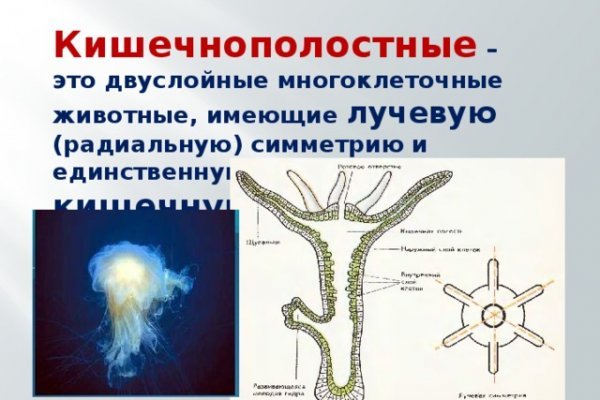 Kraken адрес