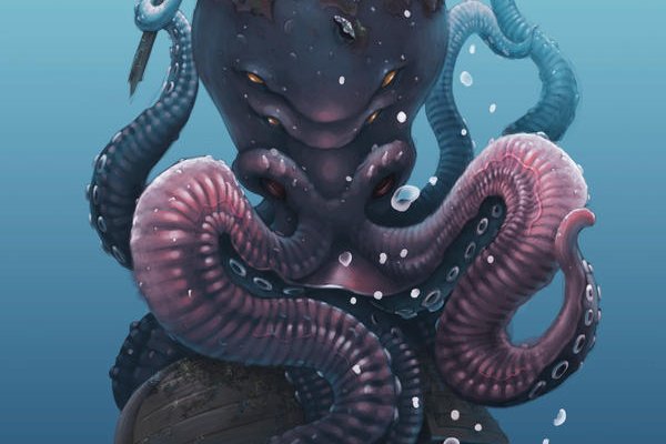 Kraken 13at